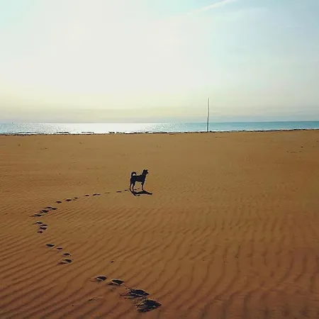 Penthouse Bellavista Lignano Sabbiadoro