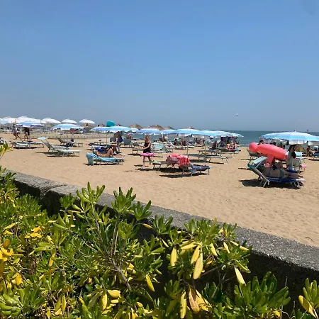 Penthouse Bellavista Lejlighed *