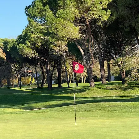 Lejlighed Penthouse Bellavista