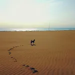 Penthouse Bellavista Lignano Sabbiadoro
