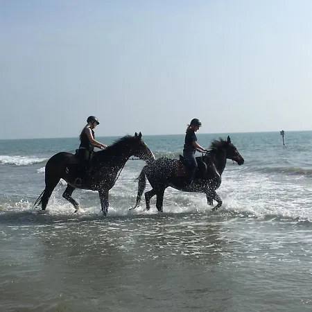 Penthouse Bellavista Apartamento