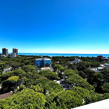 Апартаменты Penthouse Bellavista